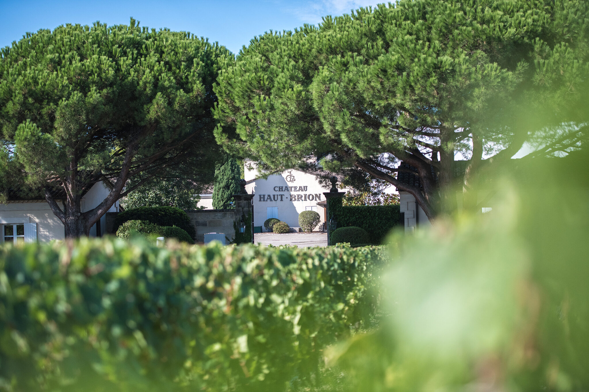 Château Haut Brion 2020