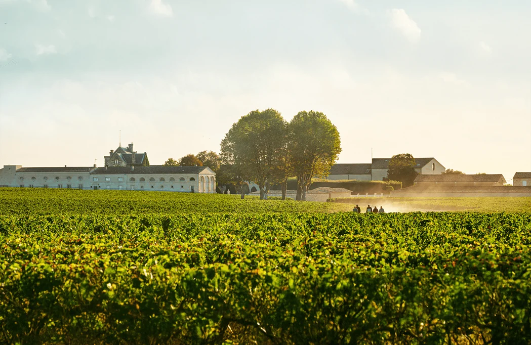 Château Mouton Rothschild 2020